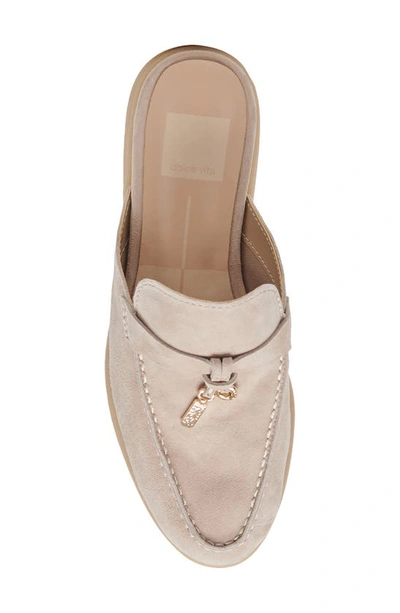 Shop Dolce Vita Lasail Mule In Taupe Suede