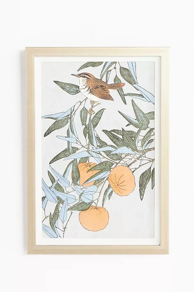 Wendover Art Group Ornithology Motif Wall Art