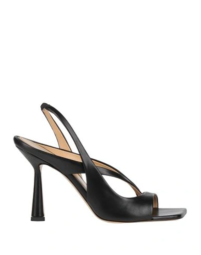Shop Aldo Castagna Woman Thong Sandal Black Size 7.5 Leather