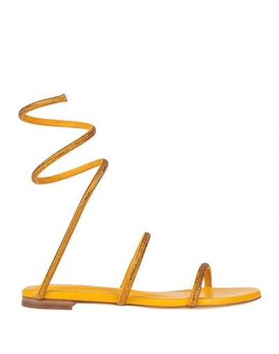 Shop Lola Cruz Woman Sandals Ocher Size 7 Leather In Yellow
