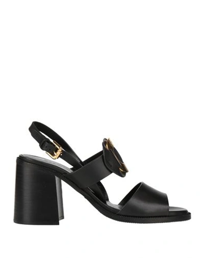 See By Chloé Woman Sandals Black Size 6 Calfskin In Black