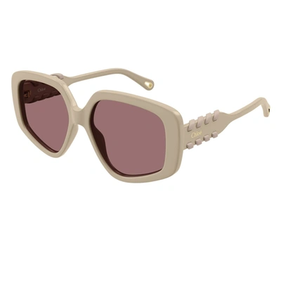 Chloé Sunglasses In Ivory