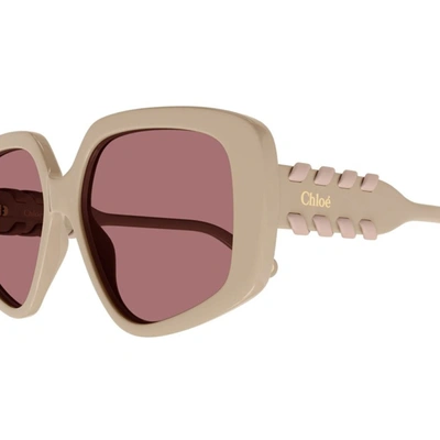 Chloé Sunglasses In Ivory