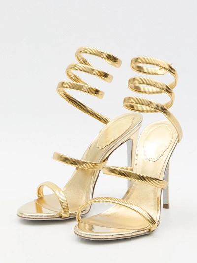 Shop René Caovilla Juniper 105 Sandals In Gold