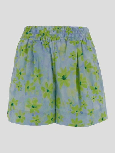 Shop Marni Shorts