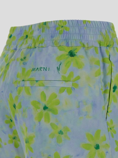 Shop Marni Shorts
