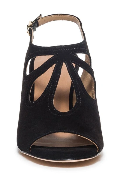 Shop Bernardo Footwear Nili Slingback Sandal In Black