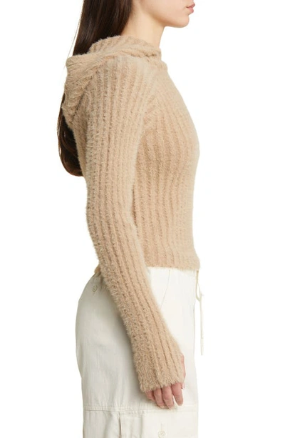 Shop Iets Frans Eyelash Rib Hooded Long Sleeve Sweater In Mink