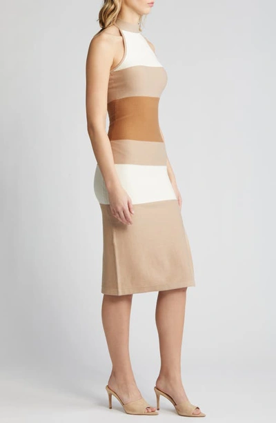 Shop Bebe High Neck Colorblock Rib Midi Dress In Brown/ Multi