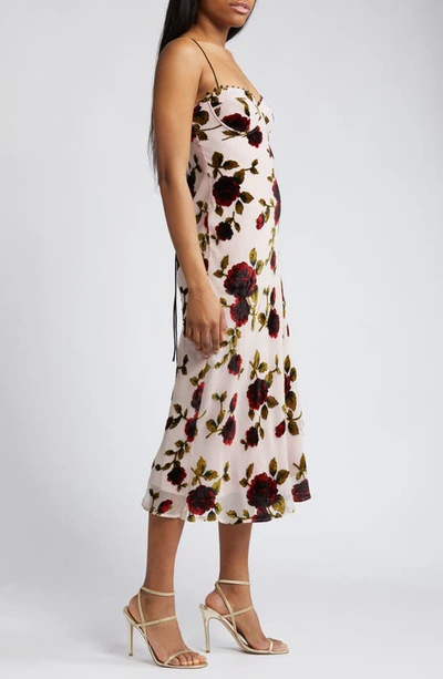 Shop Rare London Floral Devoré Underwire Midi Dress In Pink