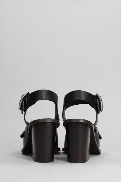 Shop Lemaire Sandals In Black Leather