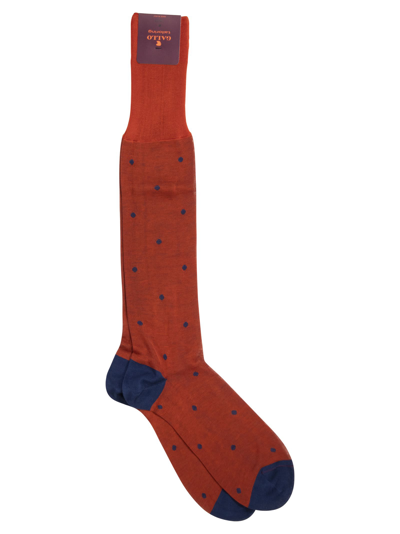 Shop Gallo Polka Dot Cotton Long Socks In Red/blue