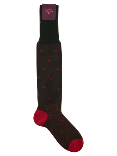 Shop Gallo Polka Dot Cotton Long Socks In Green