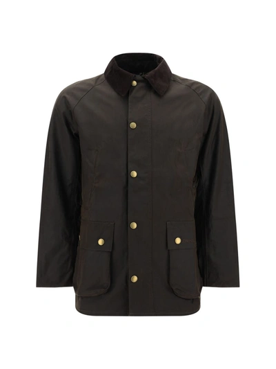 Shop Barbour Jacket  "ashby" In Brown