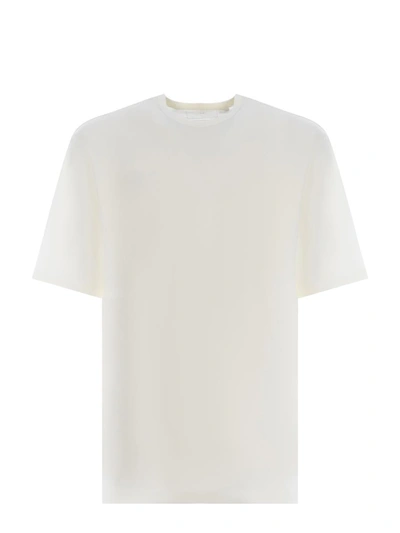 Shop Y-3 Adidas  T-shirts And Polos Beige
