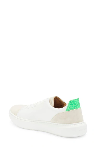 Shop Buscemi Uno Croc Embossed Sneaker In White/ Green