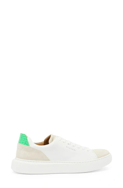 Shop Buscemi Uno Croc Embossed Sneaker In White/ Green