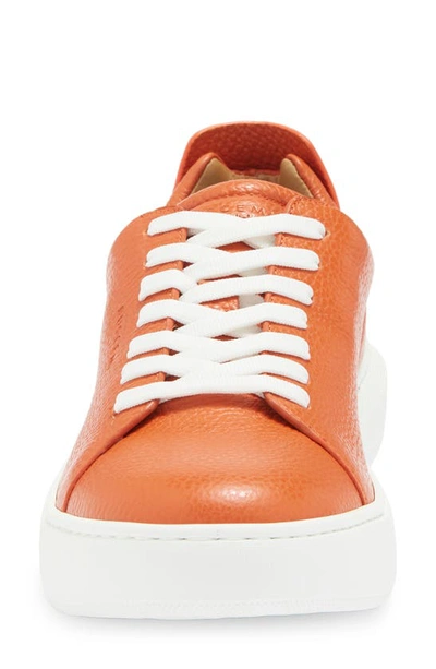 Shop Buscemi Uno Alce Sneaker In Orange