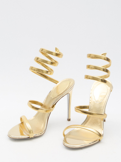 Shop René Caovilla Juniper 105 Sandals In Gold