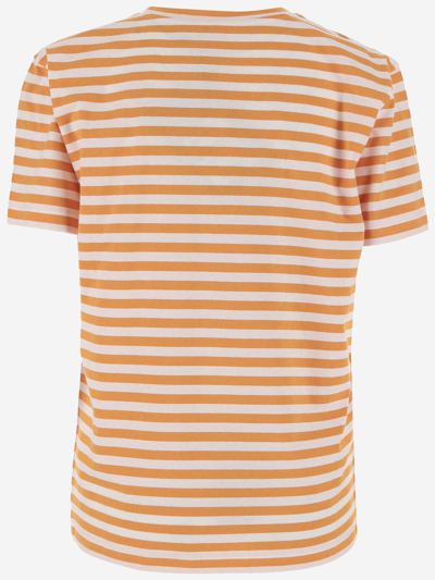 Shop Patou Striped Cotton T-shirt With Logo In Light Orange