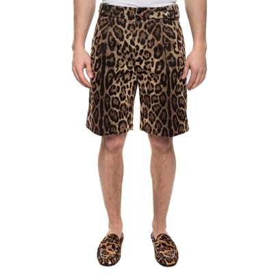 Shop Dolce & Gabbana Bermuda Shorts In Brown