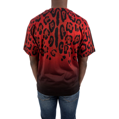 Shop Dolce & Gabbana Animalier T-shirt In Red