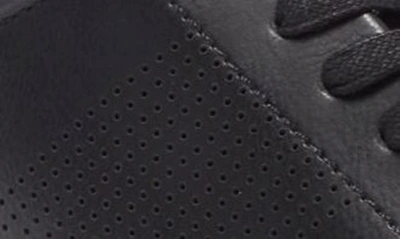 Shop Nordstrom Rack Carter Perforated Sneaker In Black- Navy