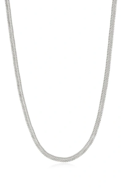 Shop Luv Aj The Arezou Snake Chain Collar Necklace In Silver