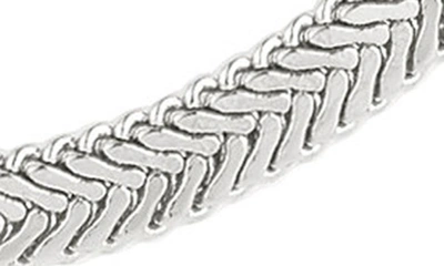 Shop Luv Aj The Arezou Snake Chain Collar Necklace In Silver