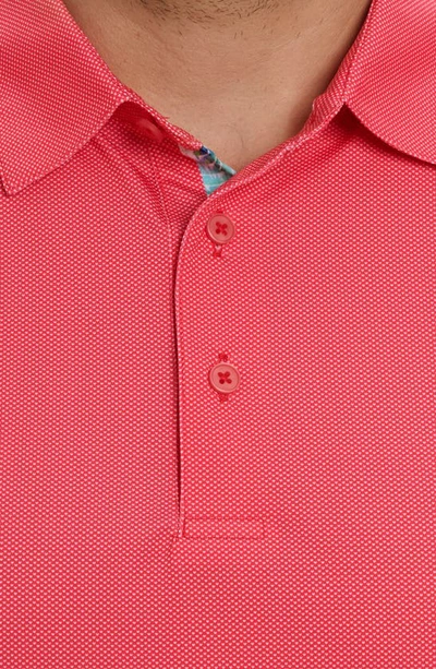 Shop Robert Graham Hyde Micro Dot Stretch Polo In Red