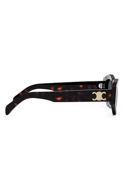 Celine Triomphe 54mm Cat Eye Sunglasses In Dark Havana / Smoke