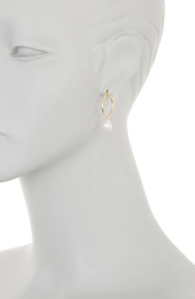 Shop Argento Vivo Sterling Silver Freshwater Pearl Drop Hoop Earrings In Gold
