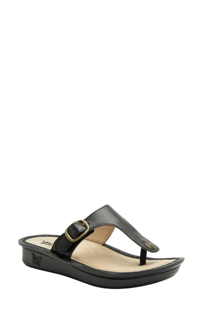 Shop Alegria By Pg Lite Vella Platform Sandal In Ink