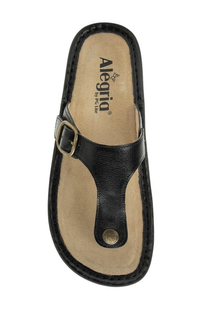 Alegria By Pg Lite Vella Platform Sandal In Ink