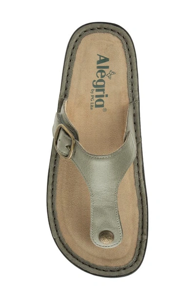 Shop Alegria By Pg Lite Vella Platform Sandal In Sage