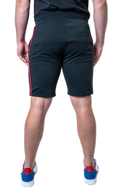 Maceoo Royal Black Cotton Knit Drawstring Shorts In Black