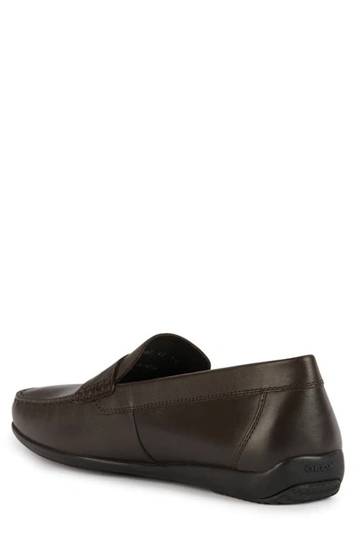 Shop Geox Ascanio Penny Loafer In Coffee