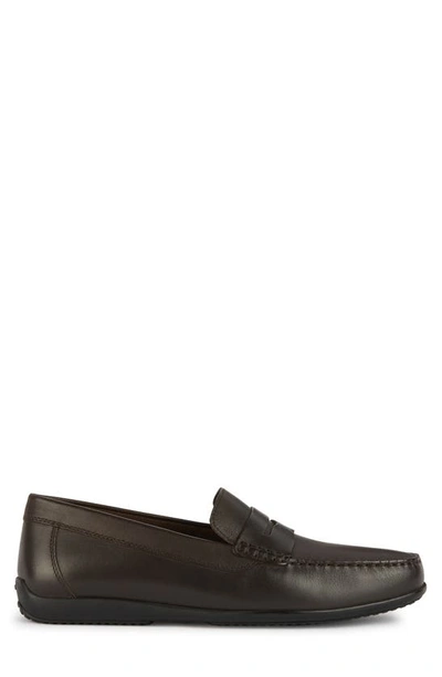 Shop Geox Ascanio Penny Loafer In Coffee