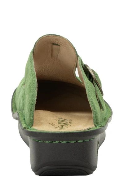 Shop Alegria By Pg Lite Classic Clog In Olive You