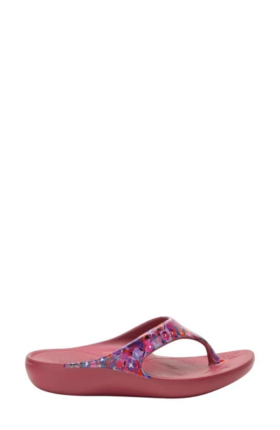 Shop Alegria By Pg Lite Ode Flip Flop In Poppy Pop