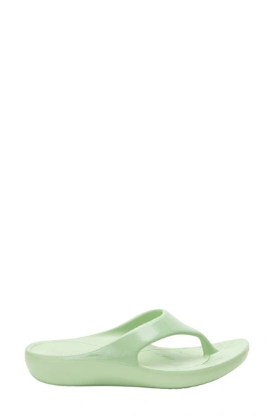 Shop Alegria By Pg Lite Ode Flip Flop In Mint Gloss