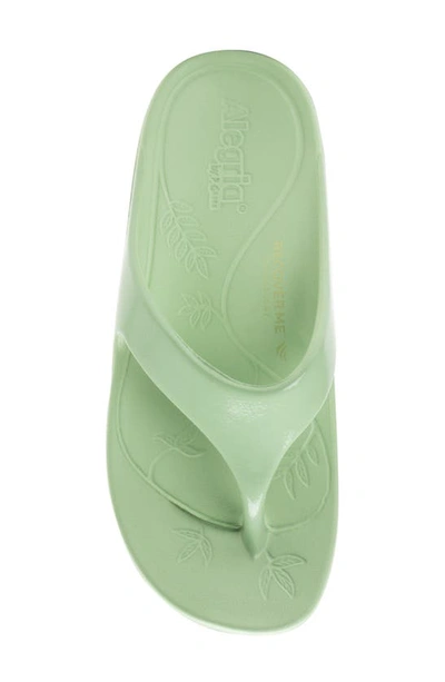 Shop Alegria By Pg Lite Ode Flip Flop In Mint Gloss