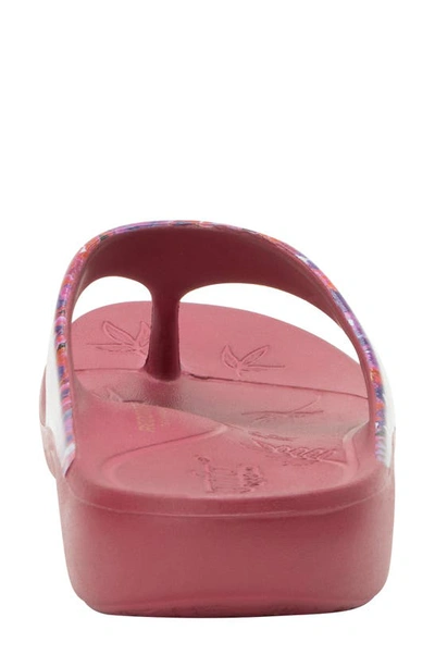 Shop Alegria By Pg Lite Ode Flip Flop In Poppy Pop