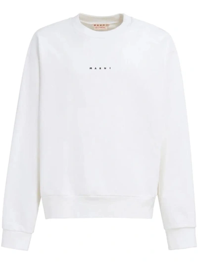 Shop Marni Sweaters In Natural White