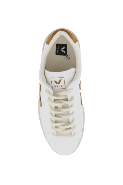 Shop Veja 'urca' Vegan Sneakers