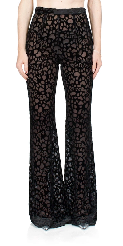 Priscavera Pv Paws Fitted Flared Pants In Black