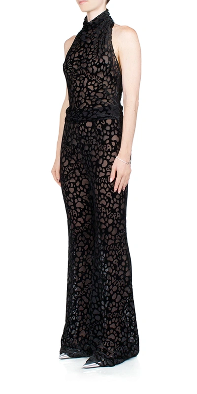 Priscavera Pv Paws Fitted Flared Pants In Black