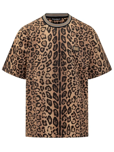 Shop Dolce & Gabbana Leo T-shirt In Brown