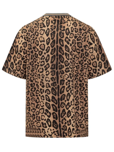Shop Dolce & Gabbana Leo T-shirt In Brown