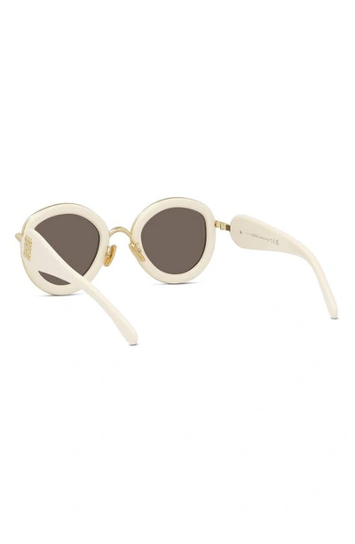 Shop Loewe 49mm Small Round Sunglasses In Ivory / Brown
